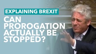 Can Anyone Stop Johnsons Prorogation  Brexit Explained [upl. by Etirugram]