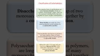 Classification of Carbohydrates  shorts [upl. by Rimidalv]