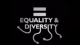 What is Equality amp Diversity [upl. by Eanahs]