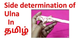 Side determination of ulna in Tamil [upl. by Ecnerrat]