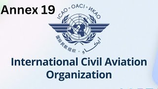 ICAO Annex 19  A Deep Dive into Aviation Safety Management [upl. by Danika]