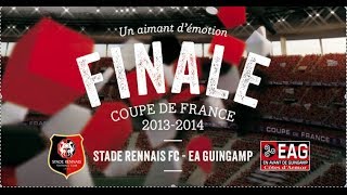 Rennes  Guingamp 03 Mai 2014 INTEGRAL Finale Coupe de France 2014 Vidéo Rediffusion Match Foot [upl. by Almena]