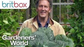 Monty Don on the Easiest Cabbages to Grow  Gardeners World 2020 [upl. by Niltiak]