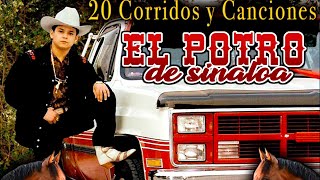 El Potro De Sinaloa  20 Corridos De Altura Estilo Norteño [upl. by Nylrac]