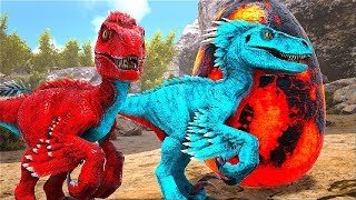 OS BEBÊS UTHARAPTOR GÊMEOS  NASCENDO DURANTE Á TRAGÉDIA  Dinossauro Ark Survival Evolved [upl. by Hollington]