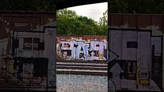 Graffiti Trains Art Train Art shorts trains graffiti art trainart [upl. by Holmen]