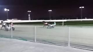 LIVE RACE HORSES AT EMPIRECITY CASINO YONKERS NEWYORK [upl. by Ardekahs]