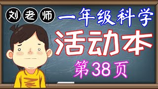 一年级科学活动本答案第38页🍎🍎🍎KSSR SEMAKAN一年级科学活动本答案🍉🍉🍉第7课磁铁🚀🚀🚀生活中的磁铁 使用磁铁🌈🌈🌈一年级科学磁铁 一年级科学活动本 [upl. by Atsillac]