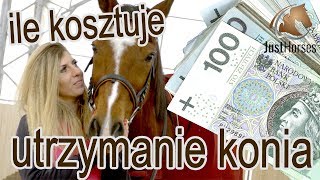 Ile kosztuje utrzymanie własnego konia [upl. by Anilag927]