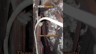 Unfinished attic space needs work  insulation and air sealing opportunity༄🪜 energy home hvac [upl. by Weihs]