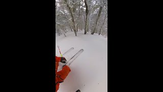 Today  Epic Terrain  My 7 Least Favorite Types of Fresh Patagonian Powder😆❄️ [upl. by Reehsab]