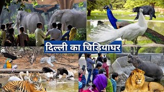 DELHI ZOO  दिल्ली का चिड़िया घर National Zoological Park Indian ZooBihari ZooZooDelhi Vlog [upl. by Pettiford]