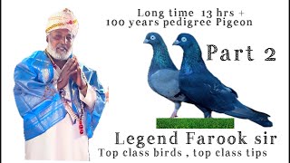 Legend Farook sir part 2  world class tips  top class pigeon long time story’s  shake line etc [upl. by Decker]