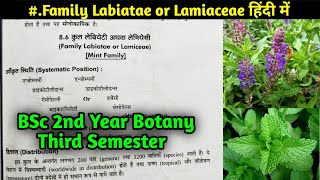 Family Lamiaceae in Hindi  Family Labiatae  BSc 2nd year Botany Third Semester [upl. by Lannie660]