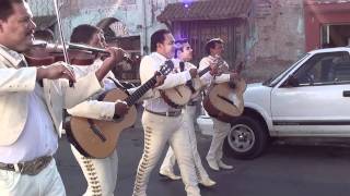 La Guadalupana Mariachi Continental de la Laguna [upl. by Ahtekal]