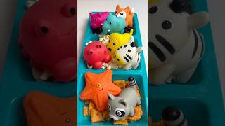 Learn Animals with Candy Popcorn and Cookies [upl. by Aimar]