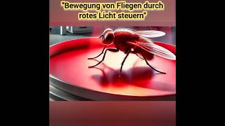 quotSteuerung der Bewegung von Fliegen durch rotes Licht Eine Revolution in der biologischen Forschung [upl. by Atirahs224]