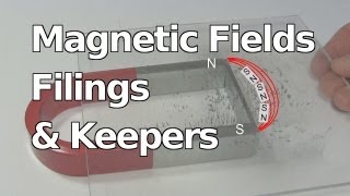 Magnetic Fields Keepers amp Iron Filings with Horseshoe Ceramic and Neodymium Magnets [upl. by Eelyek]