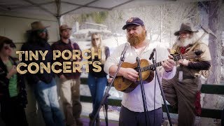 Tiny Porch Concerts  Willy Tea Taylor 4K [upl. by Nirrac527]