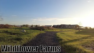 Wildflower Farms  Gardiner New York  4K Walking Tour [upl. by Searle]