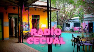 Radio Cecual [upl. by Eirb]