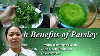 Homemade Parsley Juice Immune Booster [upl. by Leasim]