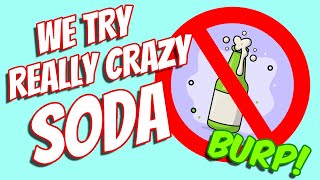 REALLY CRAZY SODA  Taste Challenge [upl. by Adlih]