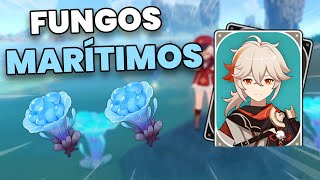 Onde Conseguir Fungos Marítimos  Item de ascensão pro Kazuha  Genshin Impact [upl. by Lynea]