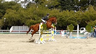 馬術 障害飛越 Equestrian Show jumping High speed 撮影 [upl. by Donni950]