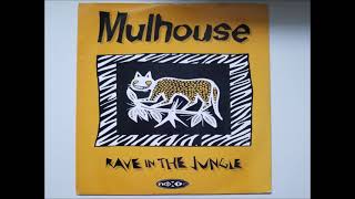 MULHOUSE  RAVE IN THE JUNGLE LOCOMOTIVE VERSION HQ [upl. by Neveda]