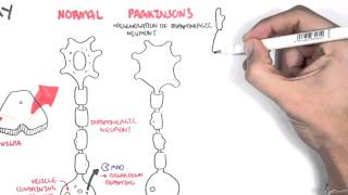 Pharmacology  Parkinsons Disease [upl. by Seyer]