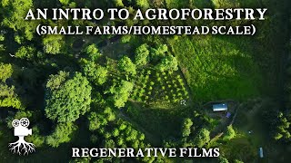 The Incredible Benefits of Agroforestry on Small Farms  Introduction to Agroforestry [upl. by Brahear306]