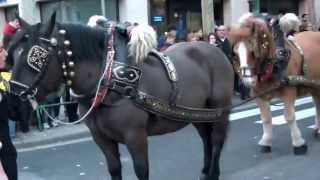 La Passada de Sant Antoni Abat i els tres tombs de Sabadell 2014 [upl. by Harras]