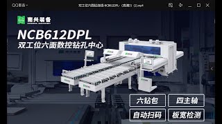 Nanxing NCB612DPLCNC 6sided Drilling Machine with double work positions [upl. by Irrak]