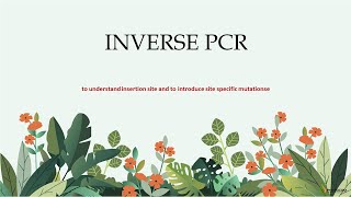 Inverse PCR  Insertion site sequence  Site directed mutations  Transposon [upl. by Ephram]