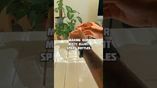 DIY Spray Bottle for Plants BTS [upl. by North]