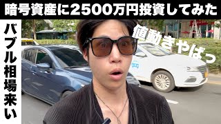 暗号資産に2500万円投資したらジェットコースターすぎた（私のポートフォリオも公開）※暗号資産投資は自己責任かつ余剰資金で行いましょう [upl. by Hallvard964]