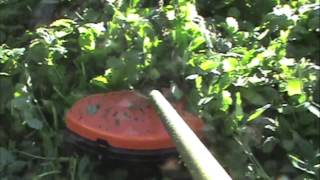 Stihl Brush Blade Cutting Tall Grass [upl. by Worthington]