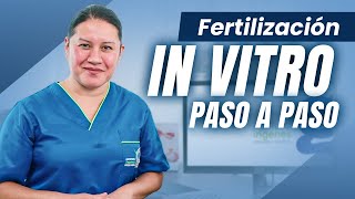 La Fertilización In Vitro como nunca te la han explicado  Ingenes [upl. by Sioled]