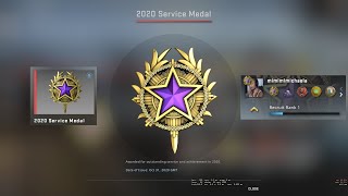 Purple Tier 4 2020 Service Medal  CSGO [upl. by Gavriella]