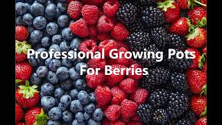 What Are the Best Professional Growing Pots for Berries growingincontainers naturehydro [upl. by Errehs]