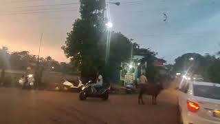 Way to Arambol Beach at Evening Time with Heavy Rainfall North Goa [upl. by Schlessel78]