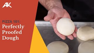 Pizza 101 Perfectly Proofed Dough [upl. by Doykos]