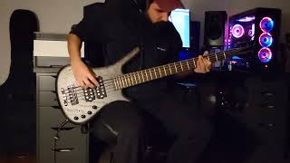 Limp Bizkit  Itll Be OK Bass Cover [upl. by Walford]