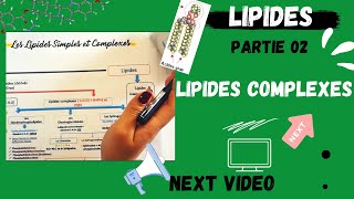 📣4 Les Lipides Partie 02  Les Lipides COMPLEXES اقوى شرح لللبيدات😍 LIPIDSMEDECINE BIOLOGY [upl. by Airalednac]