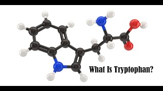 What Is Tryptophan [upl. by Hareehahs]