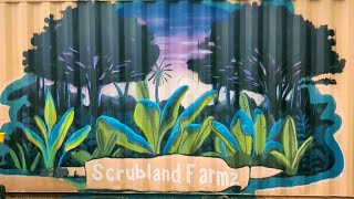 Scrubland Farmz Festival [upl. by Acisset]