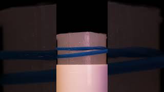 ASMR Glue Stick vs Rubber Band close up macro short satisfying closeup asmr macro [upl. by Alwyn]