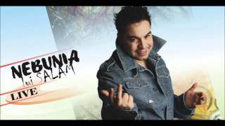 Florin Salam  Am gresit mai dami o sansa FULL VERSION [upl. by Crescantia]