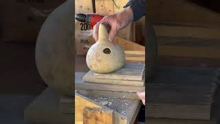 How to Make a Birdhouse with a Birdhouse Gourd [upl. by Ylrebnik]